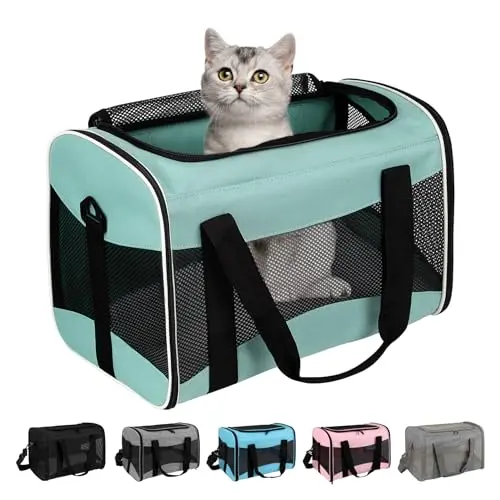 Top tasta green collapsible pet carrier with removable bed